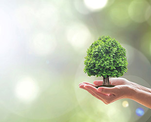 Εικόνα για την προστασία του περιβάλλοντος.